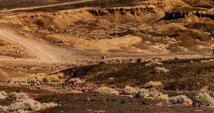 流放之路2免费加速器推荐，无卡顿畅玩流放之路2