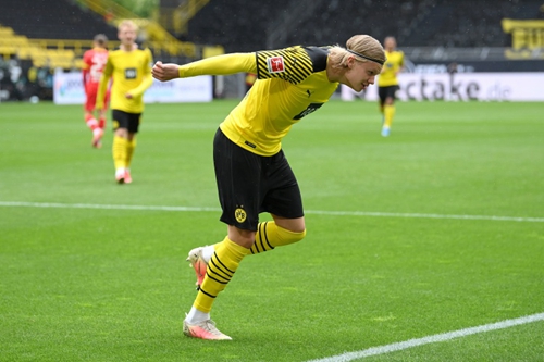 没有范弗里 没有范弗里