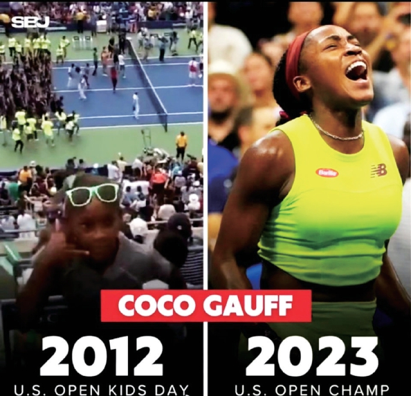 他们近年来 他们近年来